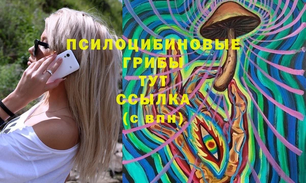 стафф Алексеевка
