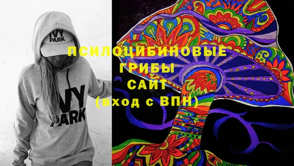 стафф Алексеевка