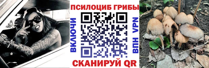 Псилоцибиновые грибы мицелий Северская