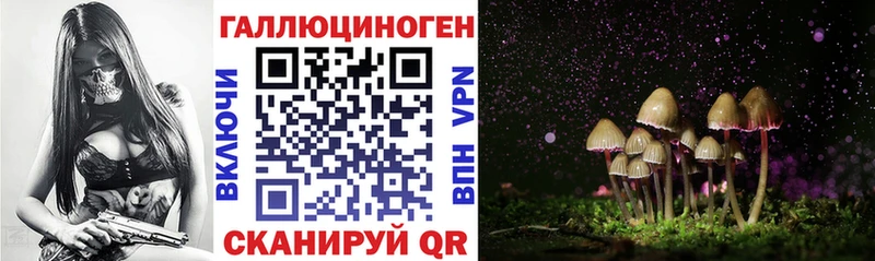 Псилоцибиновые грибы GOLDEN TEACHER купить закладку Северская